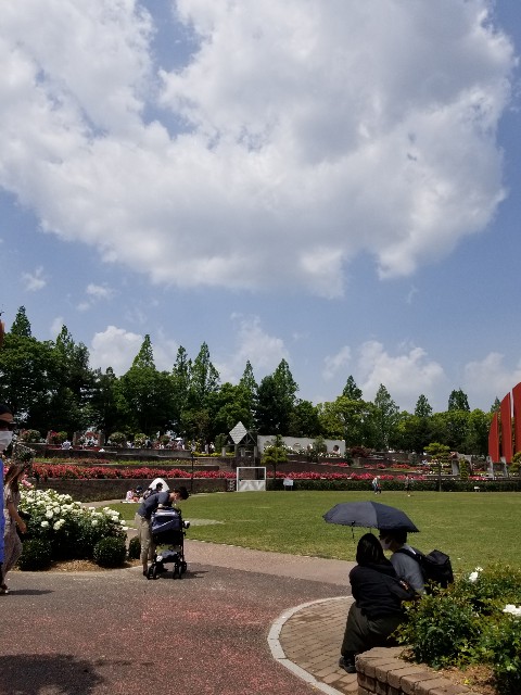 f:id:ashiyamiwa:20210510095116j:image