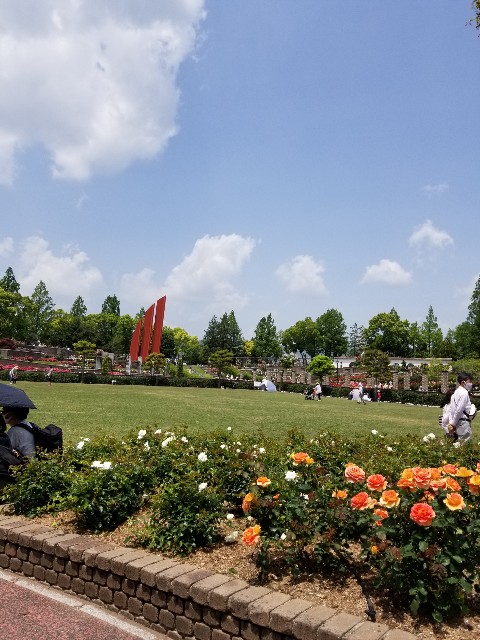 f:id:ashiyamiwa:20210510095133j:image