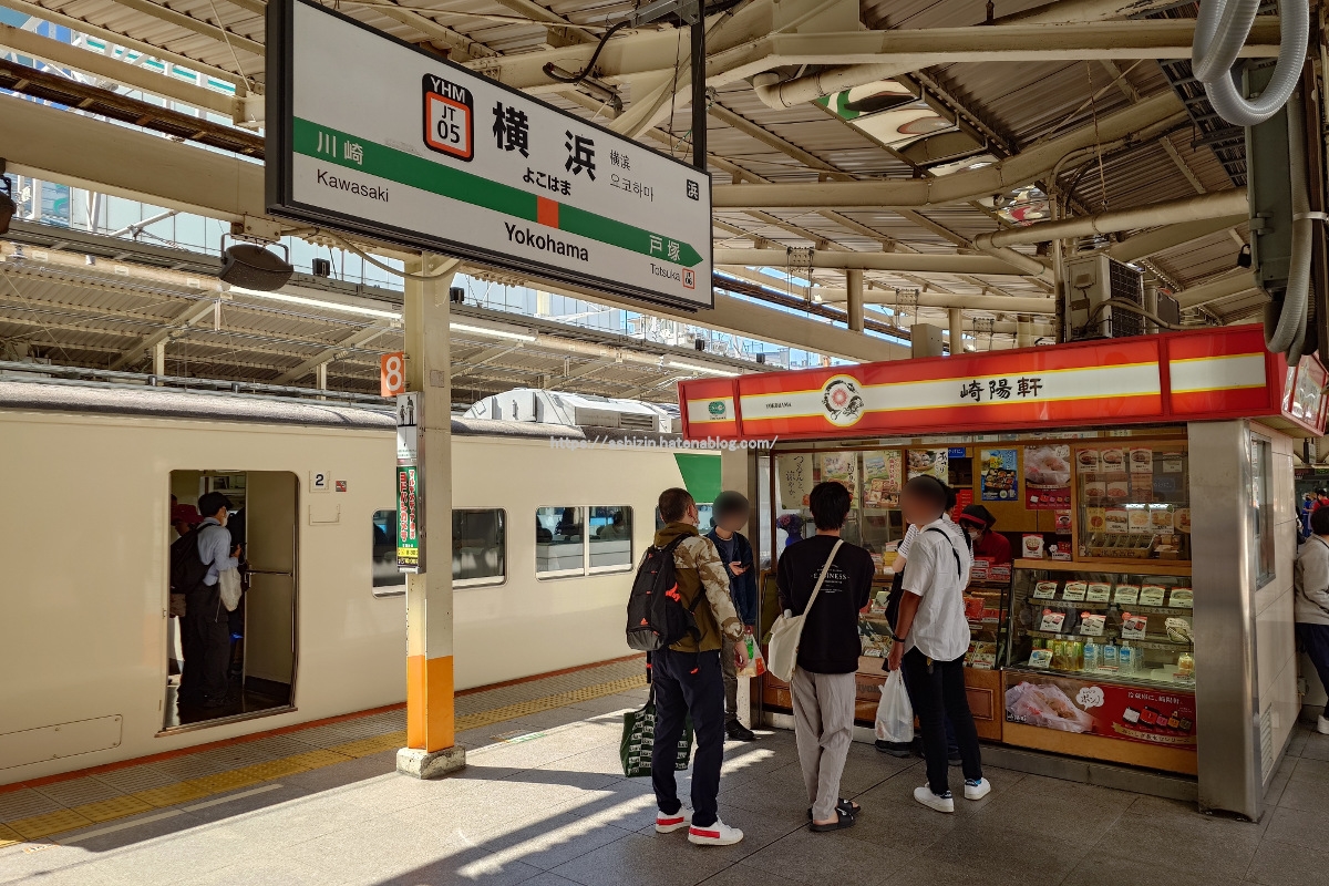 特急「185」伊豆急下田行き 乗車記 - きっぷ片手に旅をする