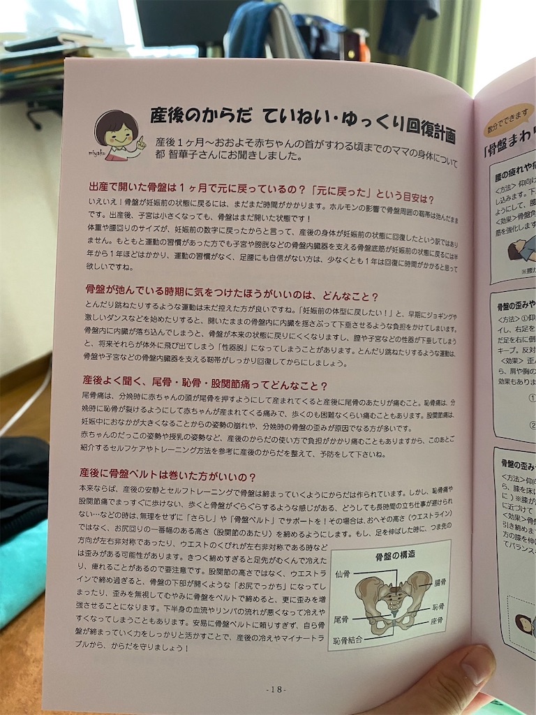 f:id:ashouldertocryon:20240913061900j:image f:id:ashouldertocryon:20240913061900j:image