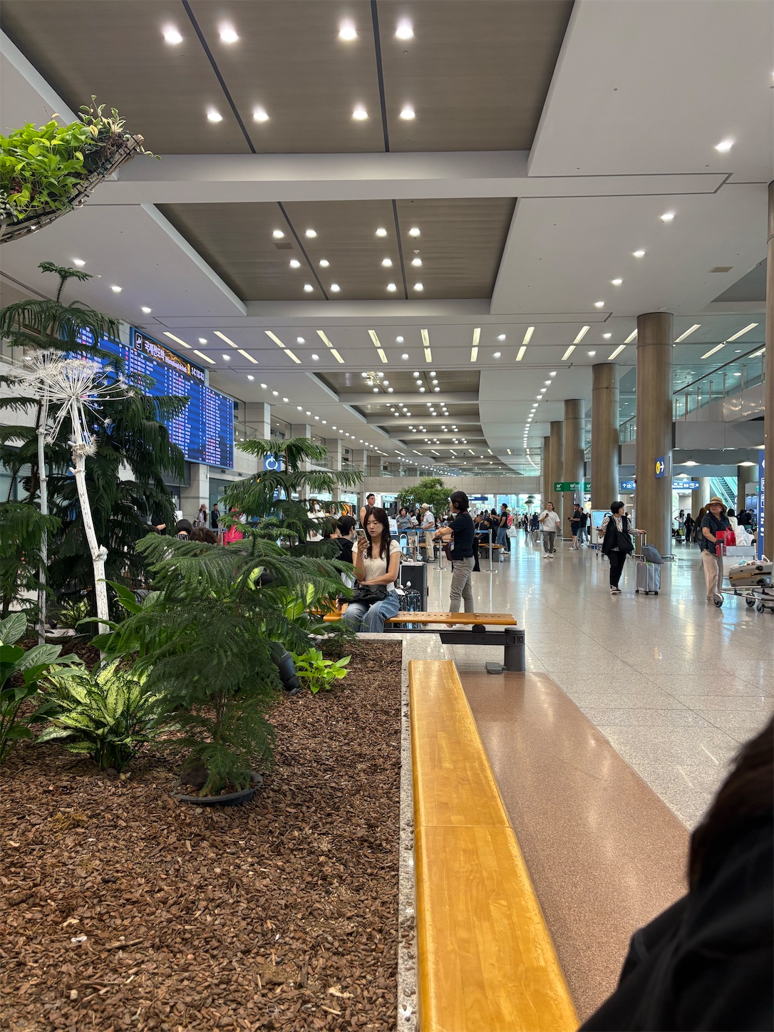 f:id:ashshmiopeach:20250110223010j:image