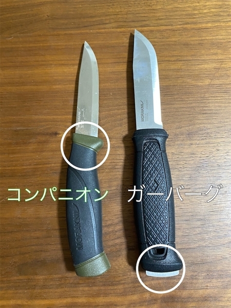 f:id:ashwagandha:20201211164050j:plain