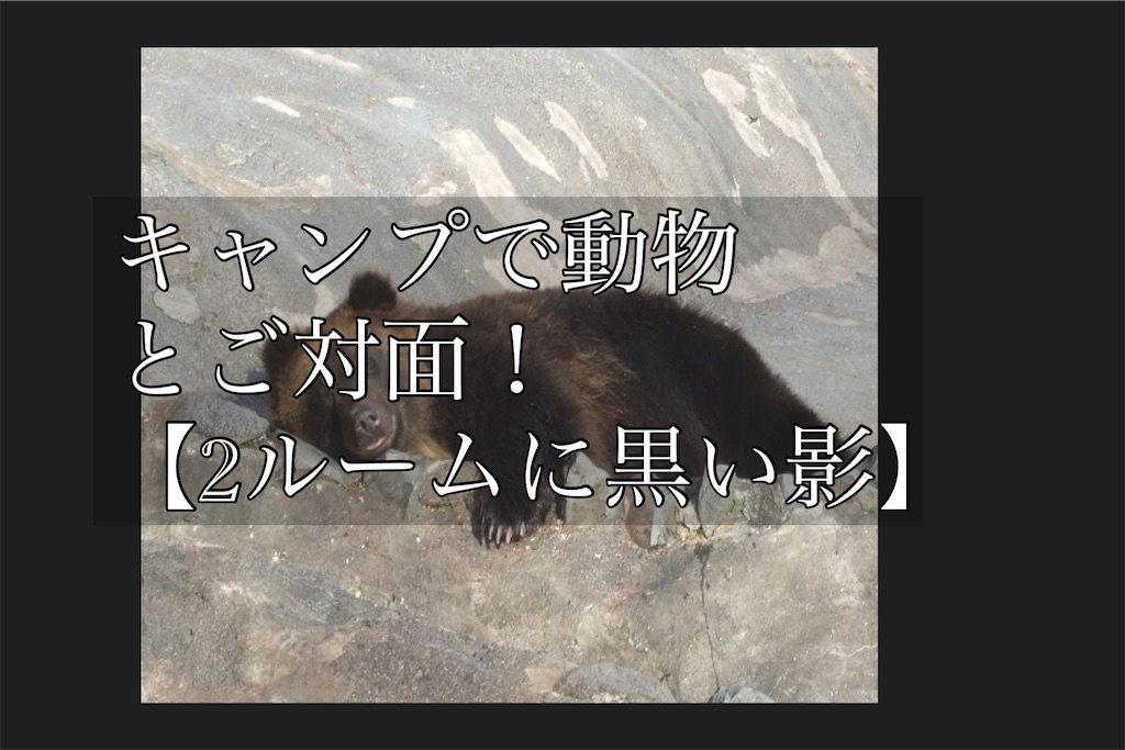 キャンプ動物