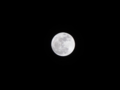 Super Moon 20161114