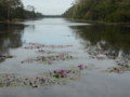[Angkor Thom]