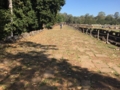 [Angkor Thom]