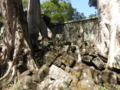 [Jayavarman VII]