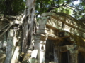 [Jayavarman VII]