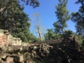 [Jayavarman VII]