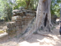 [Jayavarman VII]