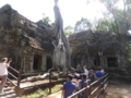 [Jayavarman VII]