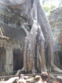 [Jayavarman VII]
