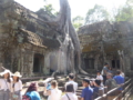 [Jayavarman VII]