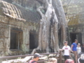[Jayavarman VII]