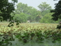 [Prachinburi National Museum]