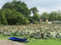 [Prachinburi National Museum]