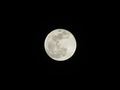 [Super Moon]20190121