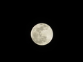 [Super Moon]20190121
