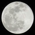 [Super Moon]20190121