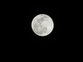 [Super Moon]20190121