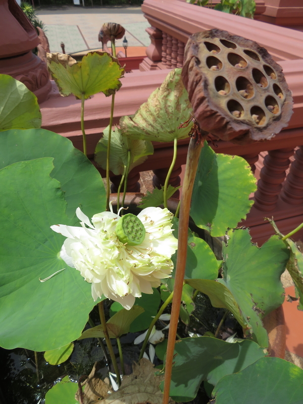 f:id:asiafreak55:20190625134411j:plain