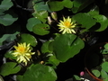 20190716150025 20190716150025
