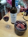 [Wine]Sangria