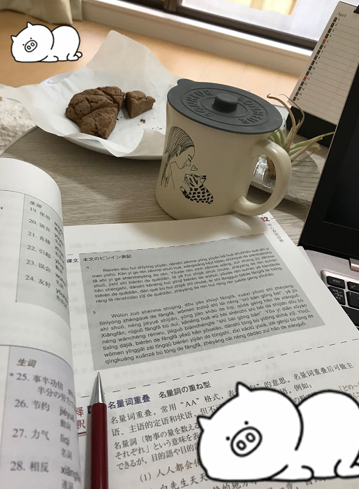 f:id:asian-pingu:20200407171257p:plain