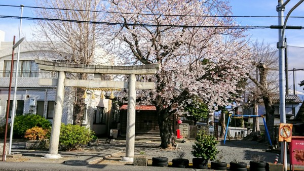 f:id:asiandream0804:20191106083221j:plain