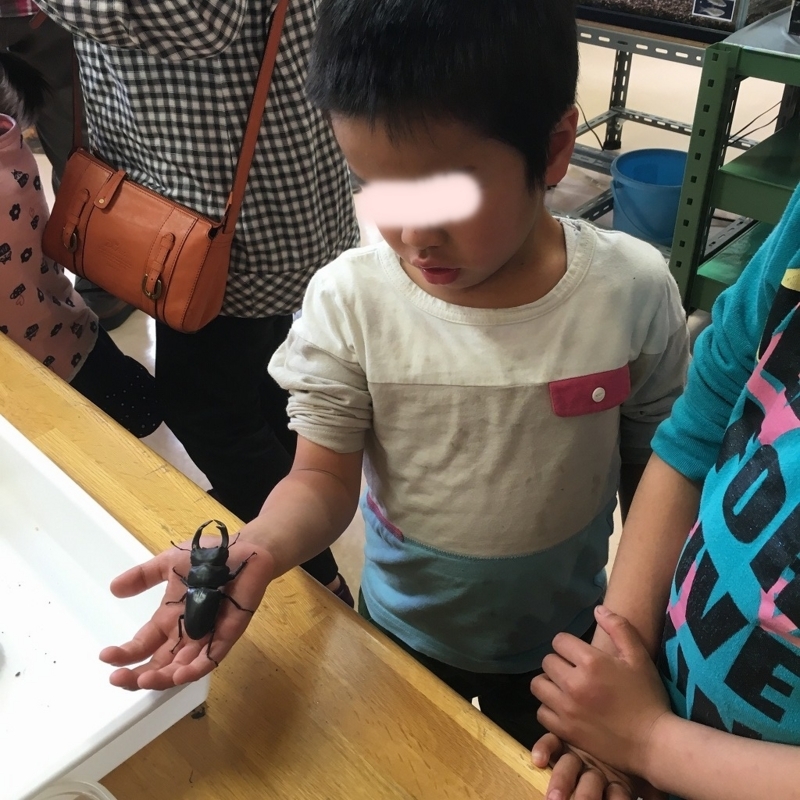 f:id:asianmoso:20180520170905j:plain