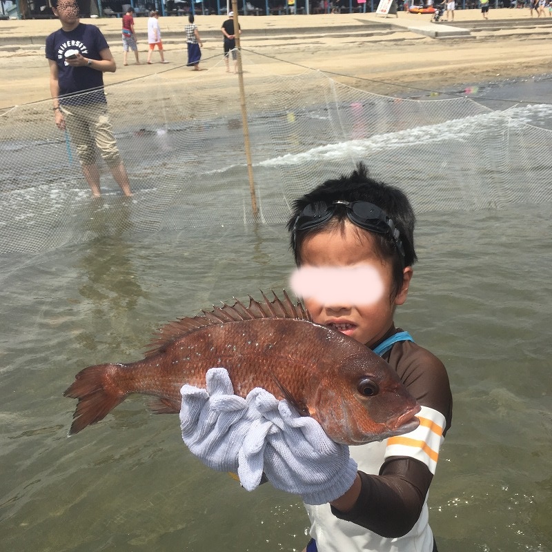 f:id:asianmoso:20180904121402j:plain