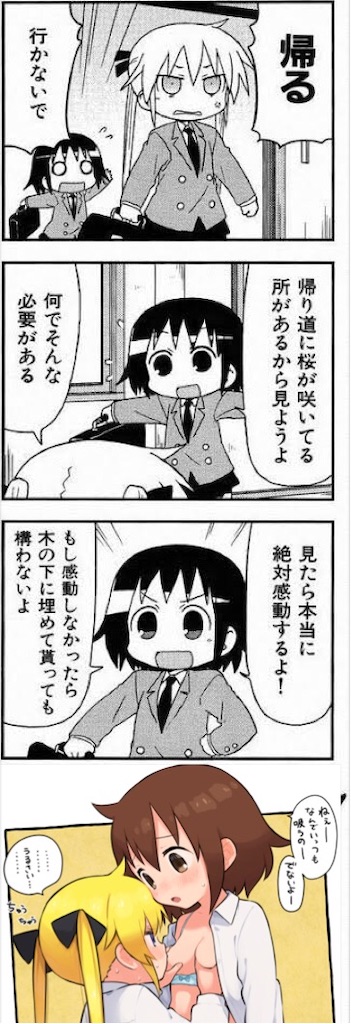 f:id:asiasiasiasi:20210208051729j:image f:id:asiasiasiasi:20210208051729j:image