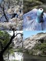 2006　都心某所穴場の公園にて