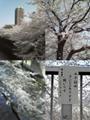 2006　神田川沿い桜満開