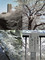 2006　神田川沿い桜満開