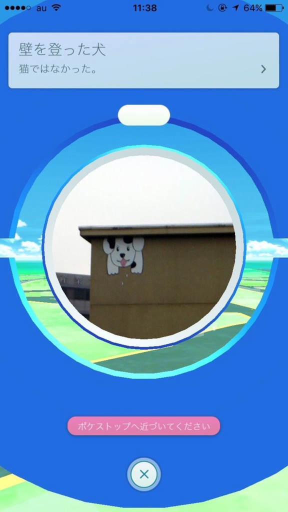 壁を上った犬 猫ではなかった