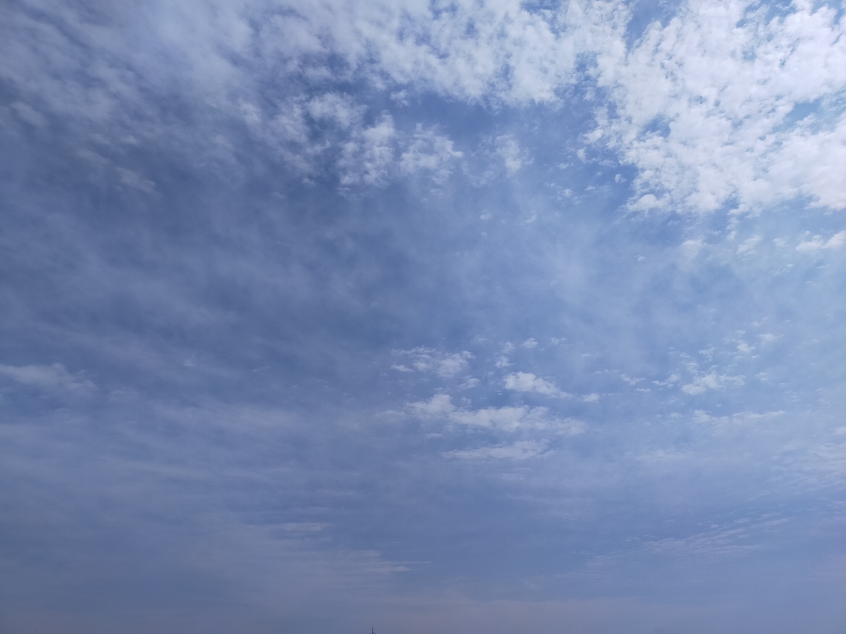 f:id:asis0215:20210523151755j:plain