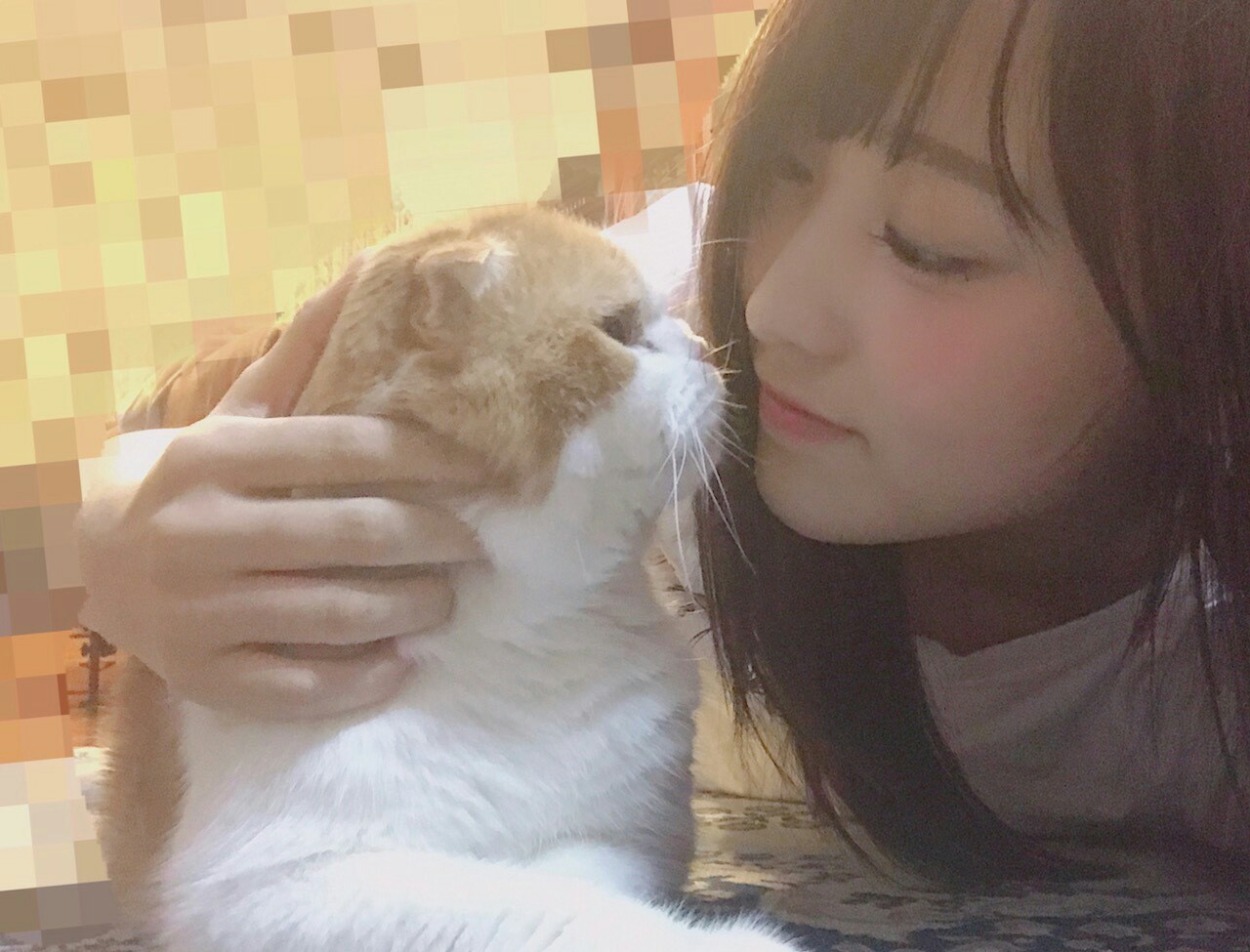 f:id:asitaha46:20180915033719j:image