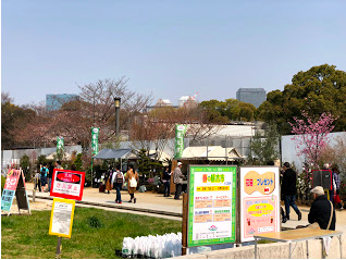 f:id:asitanorojo:20180331094842p:plain