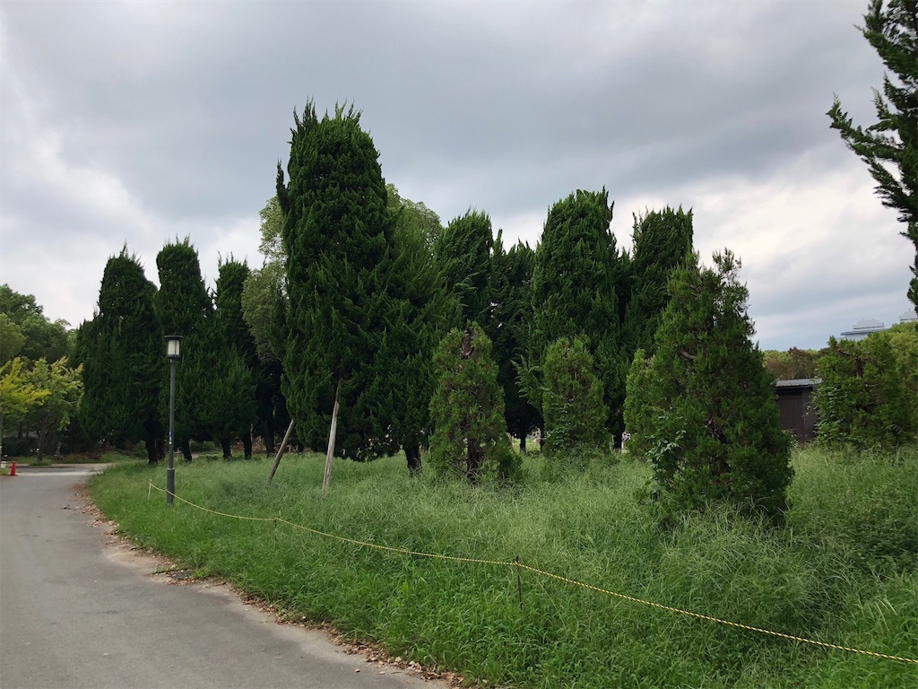 f:id:asitanorojo:20180920161136j:image f:id:asitanorojo:20180920161136j:image