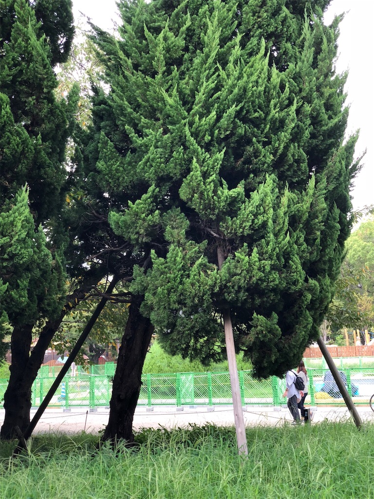 f:id:asitanorojo:20180920161242j:image f:id:asitanorojo:20180920161242j:image