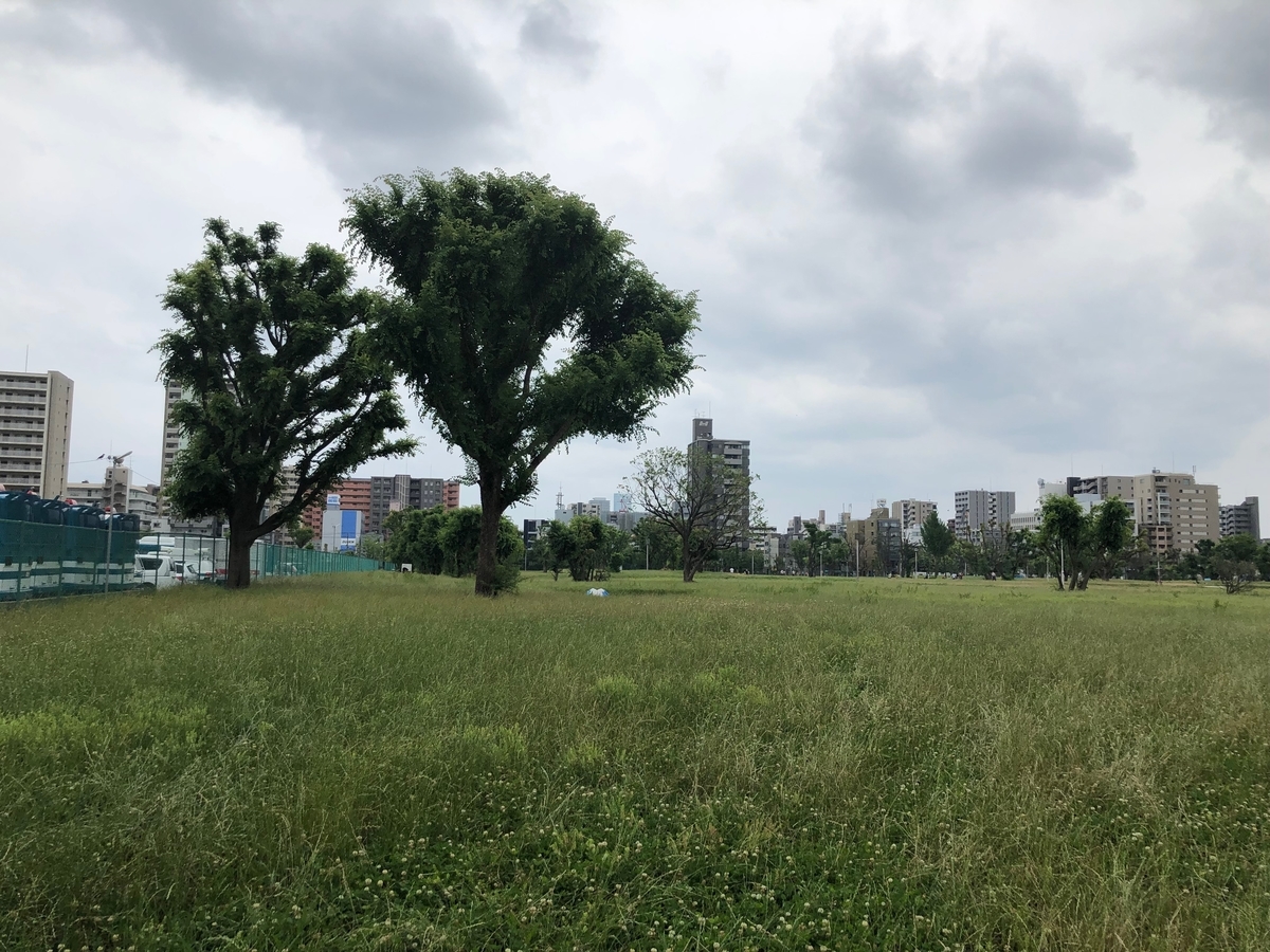 f:id:asitanorojo:20190714173531j:plain