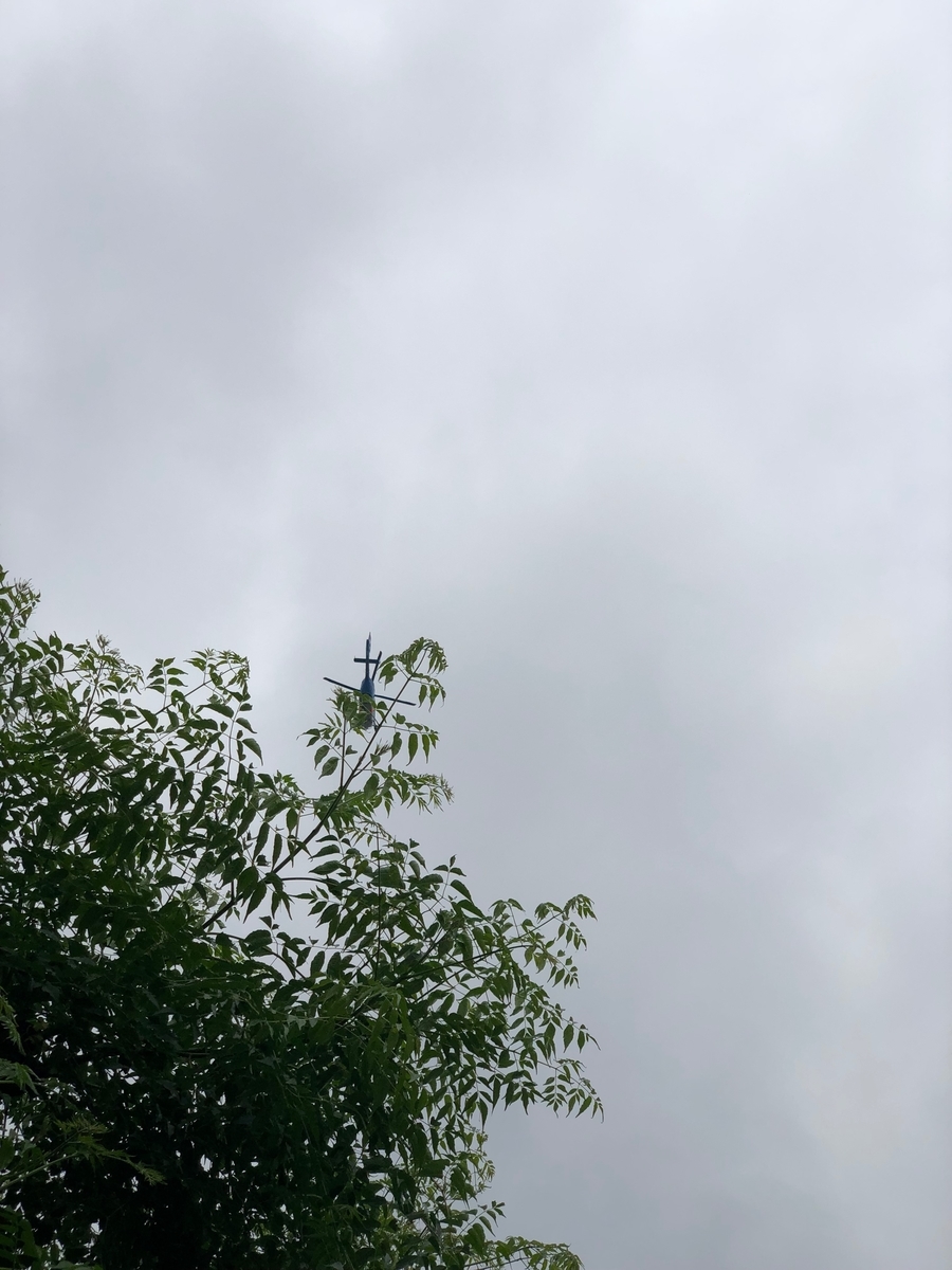 f:id:asitanorojo:20190714173626j:plain