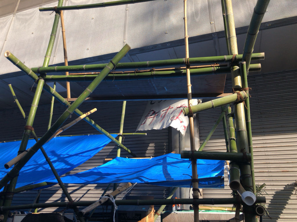 f:id:asitanorojo:20201212115942j:plain