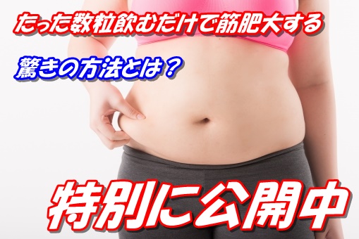 f:id:asitanotameno:20170807133610j:plain バルクアップhmbプロ