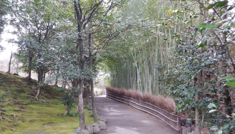 f:id:asitodo:20220129134655j:plain