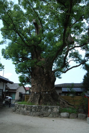 20080907123721