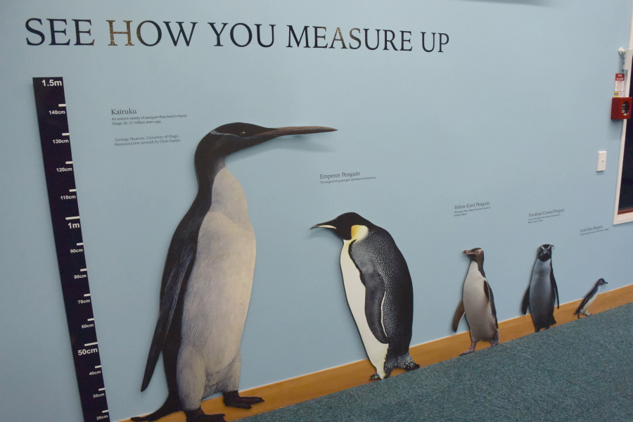 ワーホリ】ペンギンの町オアマル - 旅と、ごはんと、それから私