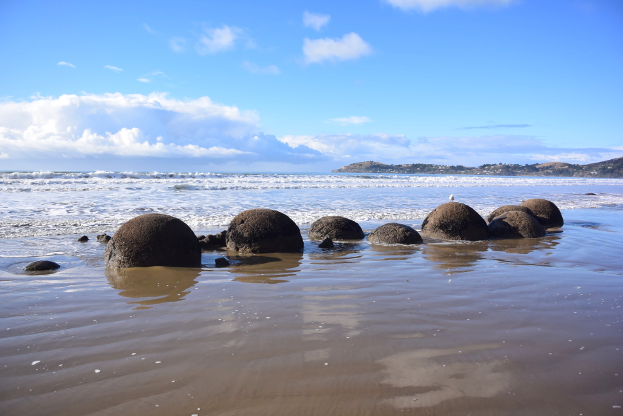 ワーホリ】神秘の丸い石・モエラキボールダーズ - 旅と、ごはんと