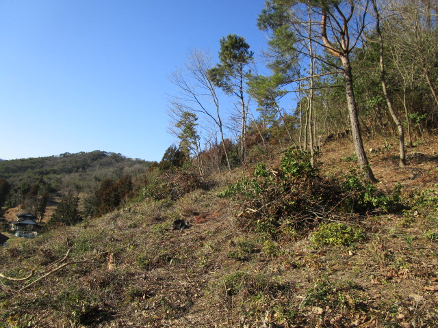 f:id:asmane:20190308173537j:plain